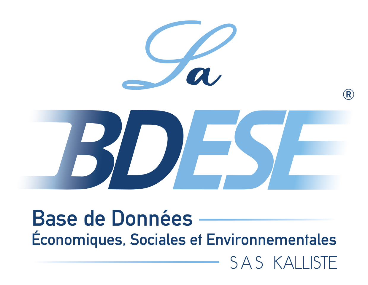 logo_BDESE_sous-titre_kalliste_final